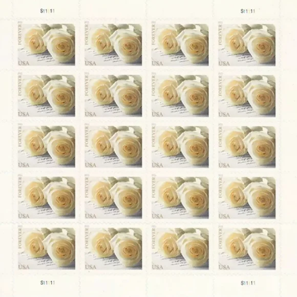 Set of 1000 white Roses - Picture 1 of 1